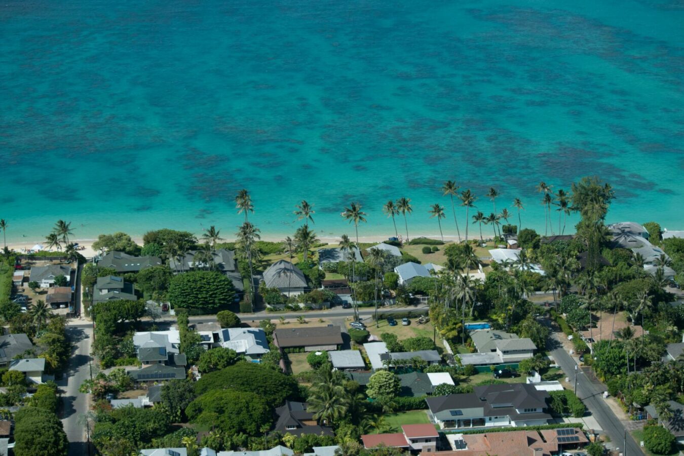 An aerial view of the ocean, shore, and several homes surrounded by trees